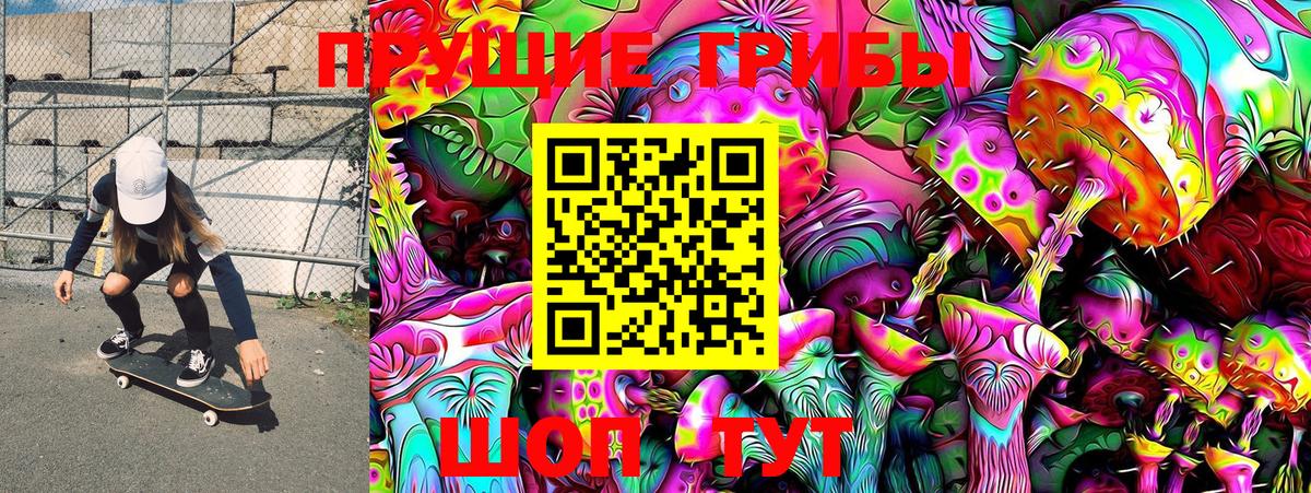 Псилоцибиновые грибы Psilocybe Добрянка