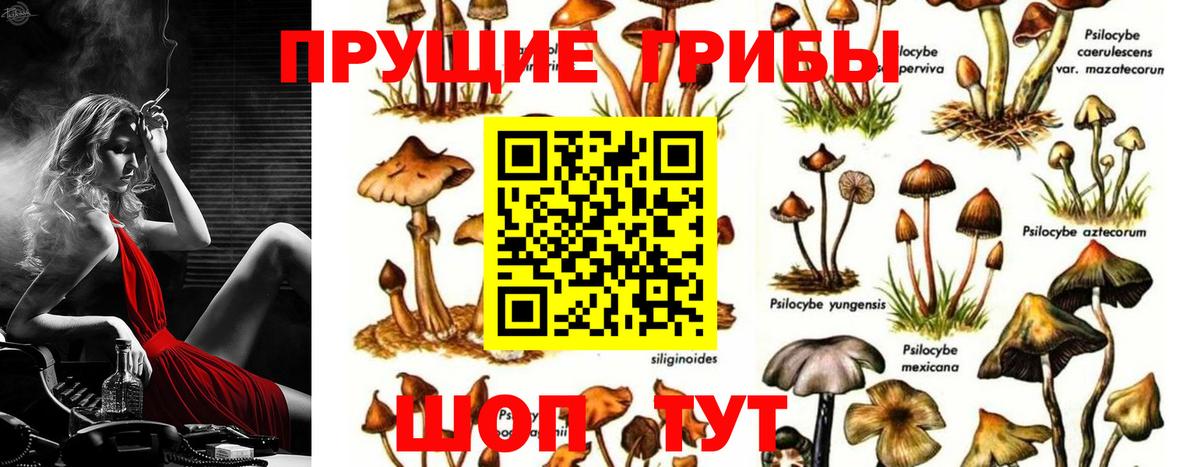Кодеин Добрянка